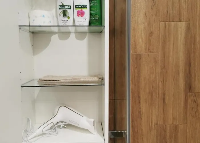 Lägenhet Anielewicza *